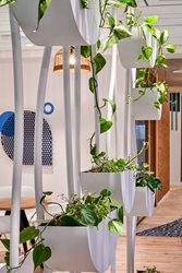 Sahar Projects - Punkt Design - Strauss Water 14