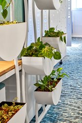 Sahar Projects - Punkt Design - Strauss Water 15