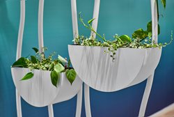 Sahar Projects - Punkt Design - Strauss Water 16