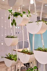 Sahar Projects - Punkt Design - Strauss Water 18